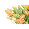 Kytice  tulipánů